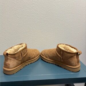 UGG Chestnut Ankle Boots with Plush Lining